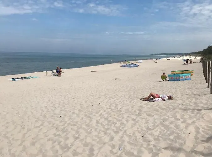 Sunset Deluxe Blue 그르지보보