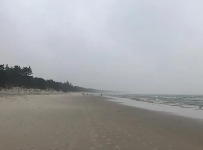 Sunset Deluxe Blue * 그르지보보