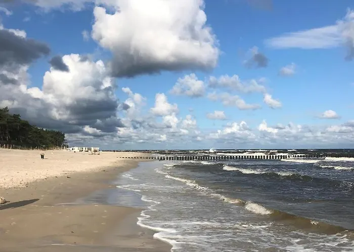 Sunset Deluxe Blue * 그르지보보