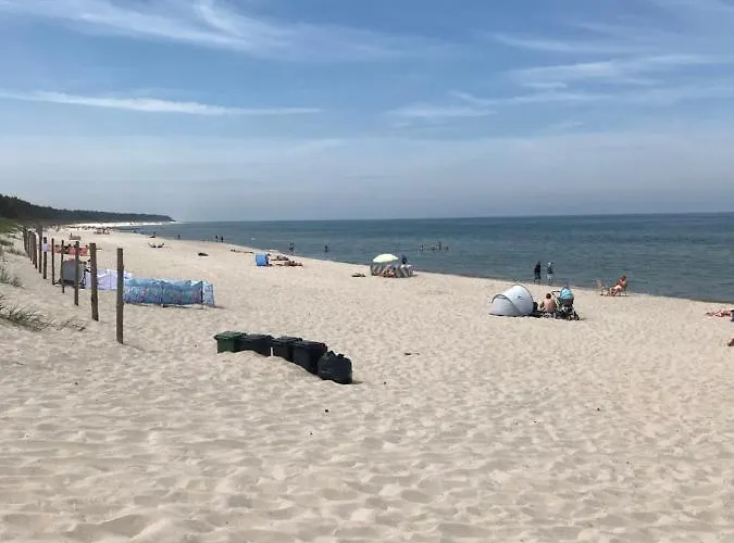 Sunset Deluxe Blue * 그르지보보