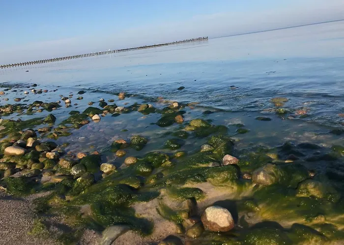 Sunset Deluxe Blue *